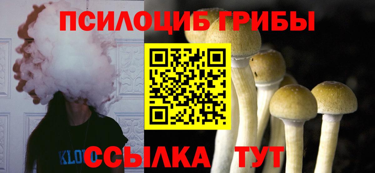 купить  цена  Галлюциногенные грибы мицелий  Наро-Фоминск  Вход с VPN  Галлюциногенные грибы MAGIC MUSHROOMS 